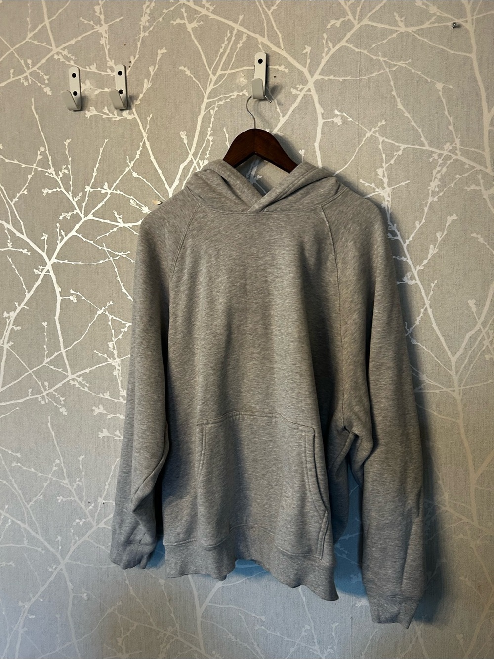 Aritzia Cozy Fleece Hoodie Grey